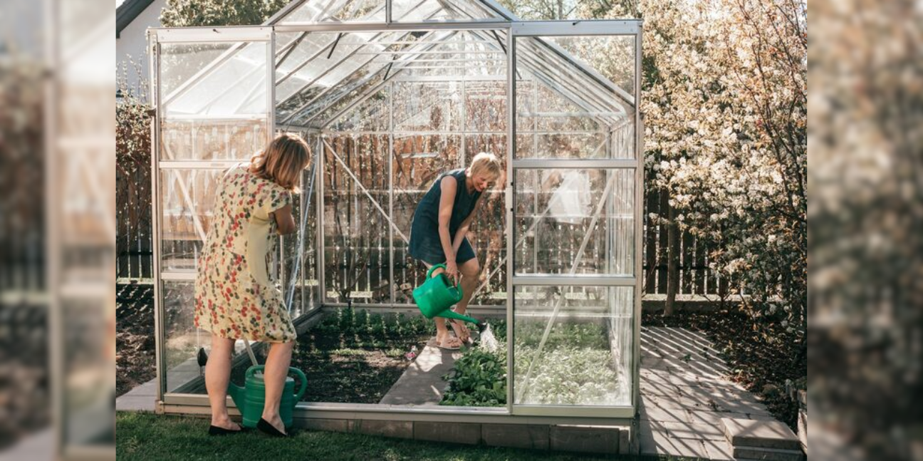 Nordwood vs Nordwood Arrow: Which Greenhouse Is Right for You?